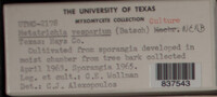 Image Associated With the Occurence
